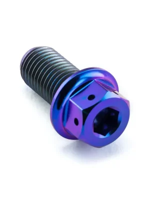 Top Prodej Pro-Bolt titanový šroub s DualDrive hlavou (šestihran + inbus) se závitem M10 x 1,25 mm a délkou 20 mm, barva opálená fialová