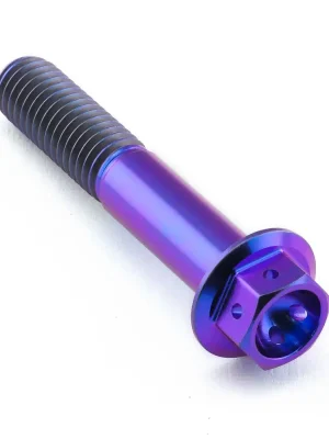 Akční Cena Pro-Bolt titanový šroub s šestihrannou hlavou se závitem M8 x 1,25 mm a délkou 45 mm, barva opálená fialová