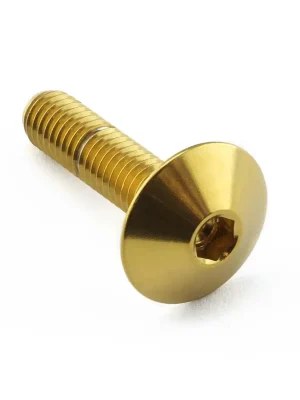 Vysoce Kvalitní Pro-Bolt nerezový inbusový šroub s vypouklou hlavou o průměru 16 mm se závitem M6 x 1,00 mm a délkou 25 mm, barva leštěná
