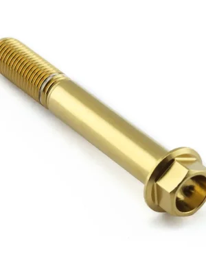 Akce Pro-Bolt nerezový šroub s šestihrannou hlavou se závitem M10 x 1,25 mm a délkou 70 mm, barva leštěná