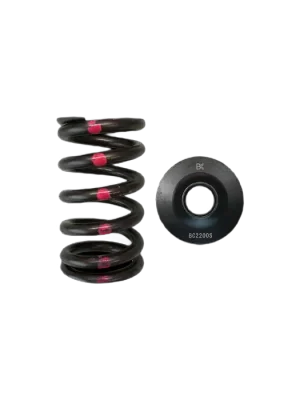 Single Spring Steel Retainer kit BC Brian Crower BC0200S Nissan SR20DE/DET Nejlepší Cena