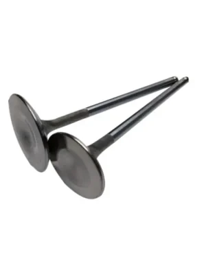 Bezpečná Platba Intake valves BC Brian Crower BC3104 35mm Mitsubishi Lancer Evo I, II, III, IV, V, VI, VII, VIII, IX 4G63T