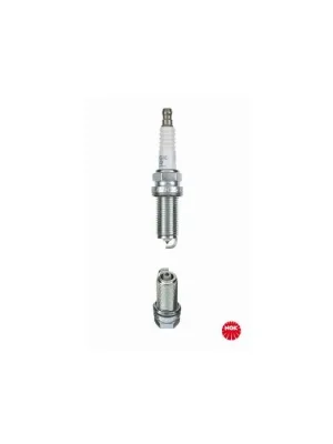Aktuální Zapalovací svíčka NGK 5613 LFR4AP-11